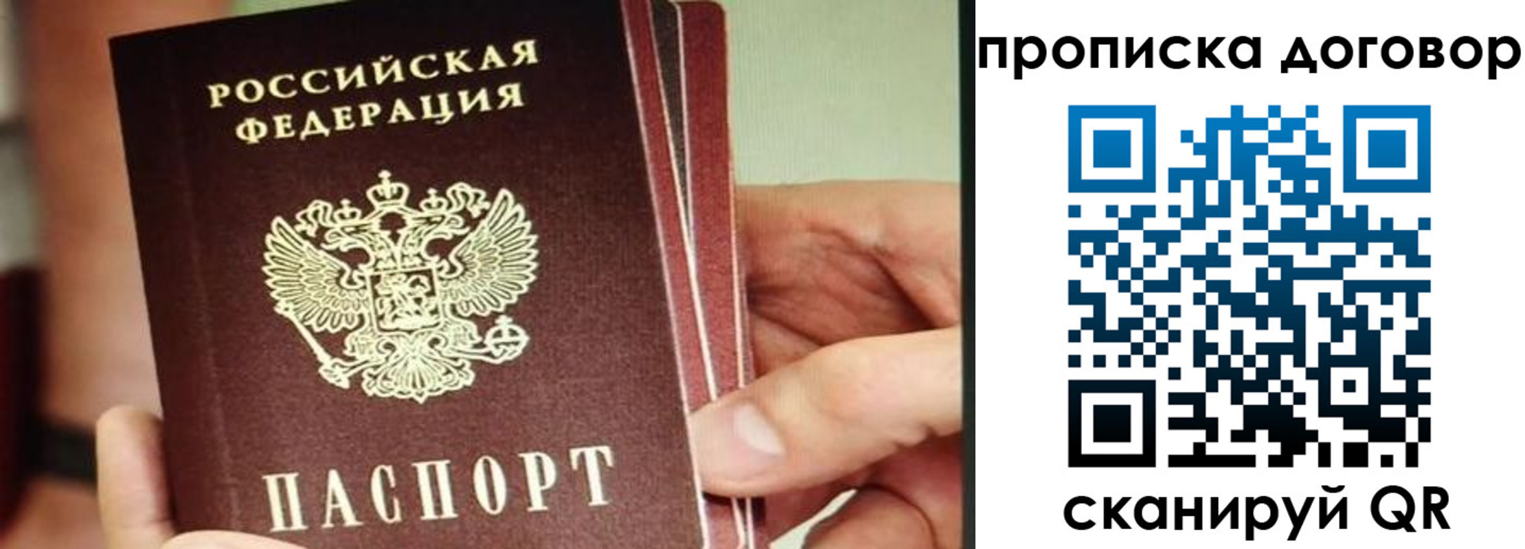 прописка в Куртамыше